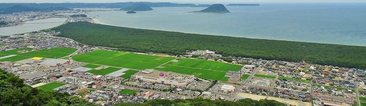nijino_01_1200_350.jpg