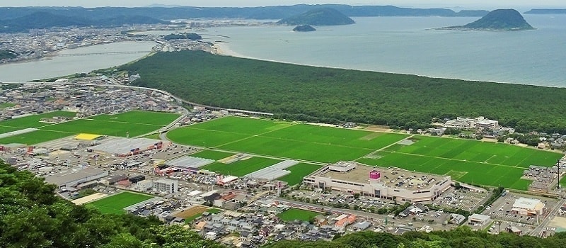 nijino_01_800_350.jpg