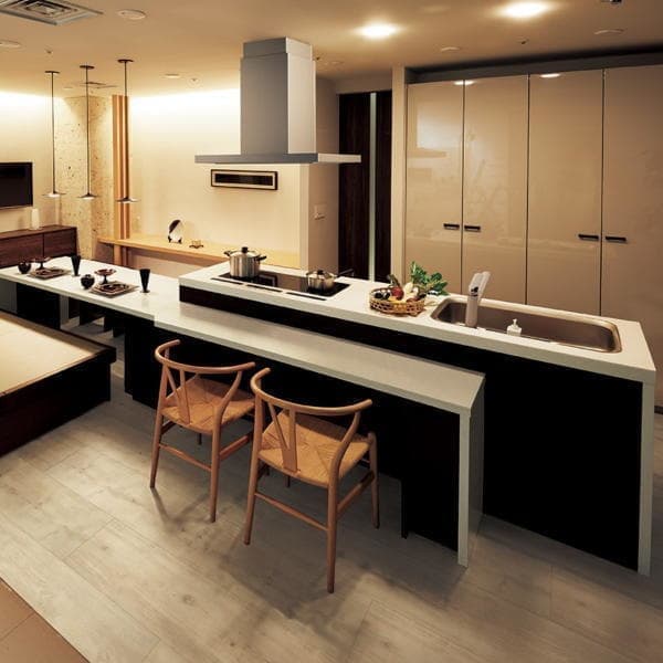 kitchen_l-class_2.jpg